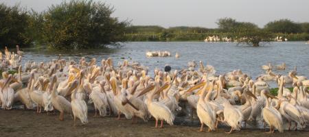 Photo of Rift Valley Lakes - 3 Day Tour in Ethiopia