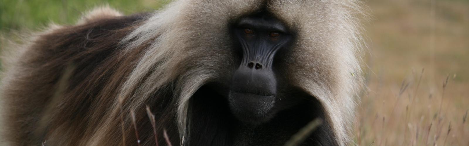 Photo of Photography in Ethiopia